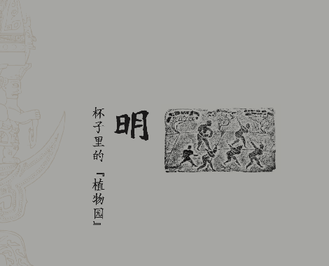 香港大众论坛